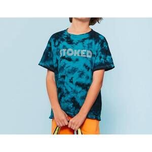 NEW LITTLE CHICKEN boys stoked graphic t-shirt in multi